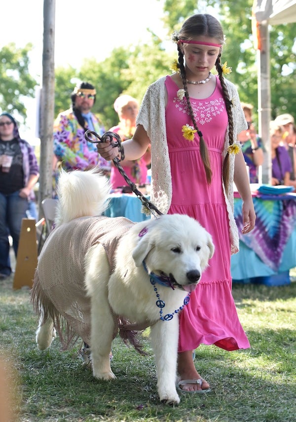 AKC Weekly Winners Gallery Woofstock The World’s Coolest Dog Show
